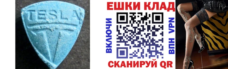 блэк спрут ССЫЛКА  Губаха  Ecstasy Philipp Plein 