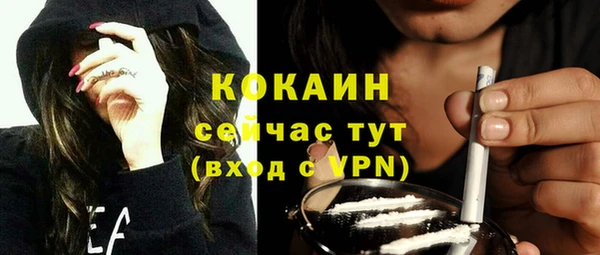 шишки Баксан