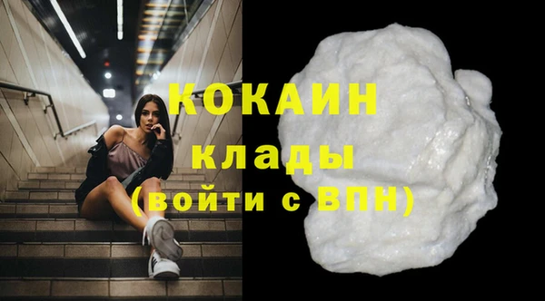 шишки Баксан