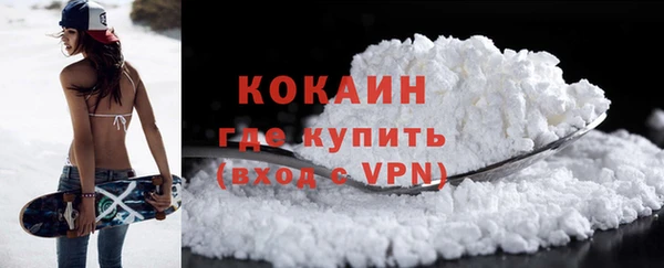 шишки Баксан