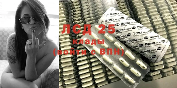 шишки Баксан