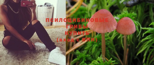 a pvp Балахна
