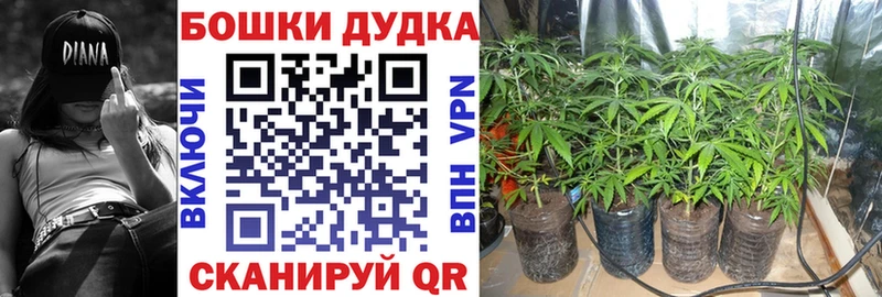 Бошки марихуана THC 21%  сайты даркнета Telegram  Губаха 